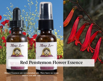 Red Penstemon Flower Essence, Dropper or Spray for Determination, Strength of Purpose, Taking on Challenges