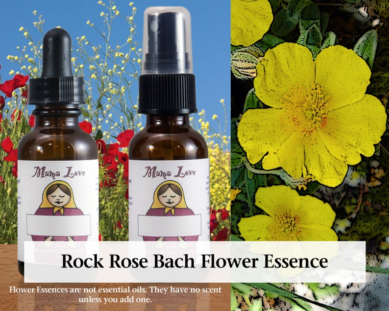 Rock Rose Bach Flower Essence 1 or 2 Oz Dropper or Spray Etsy