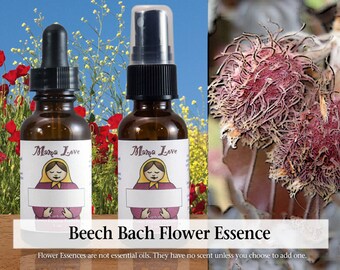 Organic Beech Bach Flower Essence, Dropper or Unscented Spray for Releasing Intolerance and Criticisms, Acceptance, Finding the Good