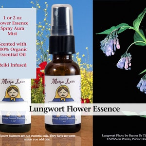 Lungwort Flower Essence, Scented Spray Aura Mist for Deep Sadness and Resulting Low Energy, Lethargy