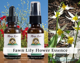Organic Fawn Lily Flower Essence, Dropper or Unscented Spray for Strength to Face the World when Isolated, Introverted, Self-Protective