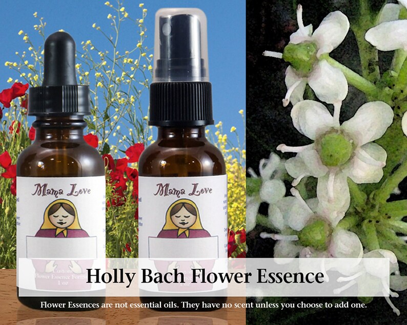 Holly Flower Essence 1 or 2 oz Dropper or Spray Aura Mist Etsy