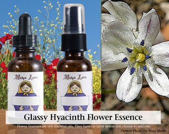Organic Glassy Hyacinth Flower Essence, Dropper or Unscented Spray, Self-care to Help Deep Trauma, Grief, and Horror