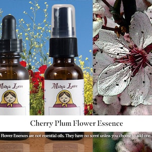 Cherry Plum Flower Essence, Dropper or Spray for Spiritual Surrender or Trust when Fearing Breakdown or Losing Control