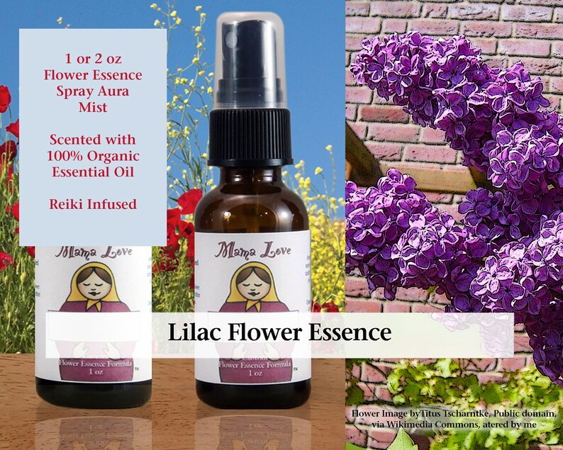 Lilac Flower Essence Scented Spray Aura Mist for Accessing Etsy