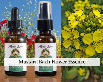 Organic Mustard Bach Flower Essence, Dropper or Unscented Spray for Help Relieving Gloom and Despair, Restoring Emotional Equilibrium