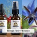 see more listings in the Single Flower Essences section