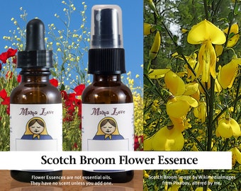 Organic Scotch Broom Flower Essence, Dropper or Spray for Optimism and Clarity when Deeply Discouraged about the State of the World