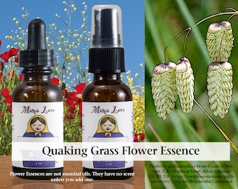 Organic Quaking Grass Flower Essence, Dropper or Unscented Spray Aura Mist for Getting Along Better in Groups, Community