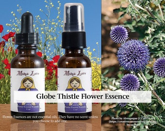 Organic Globe Thistle Flower Essence, Dropper or Spray Aura Mist for Gaining Insight, Shedding Unhealthy Influences, Negative Energy