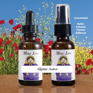 Alpine Aster Flower Essence: Meditation & Spiritual Support (Dropper or Spray)