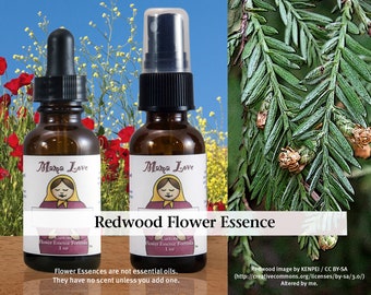 Organic Redwood Flower Essence, Dropper or Unscented Spray for Strong Growth and Vitality, Embrace of Physical Incarnation