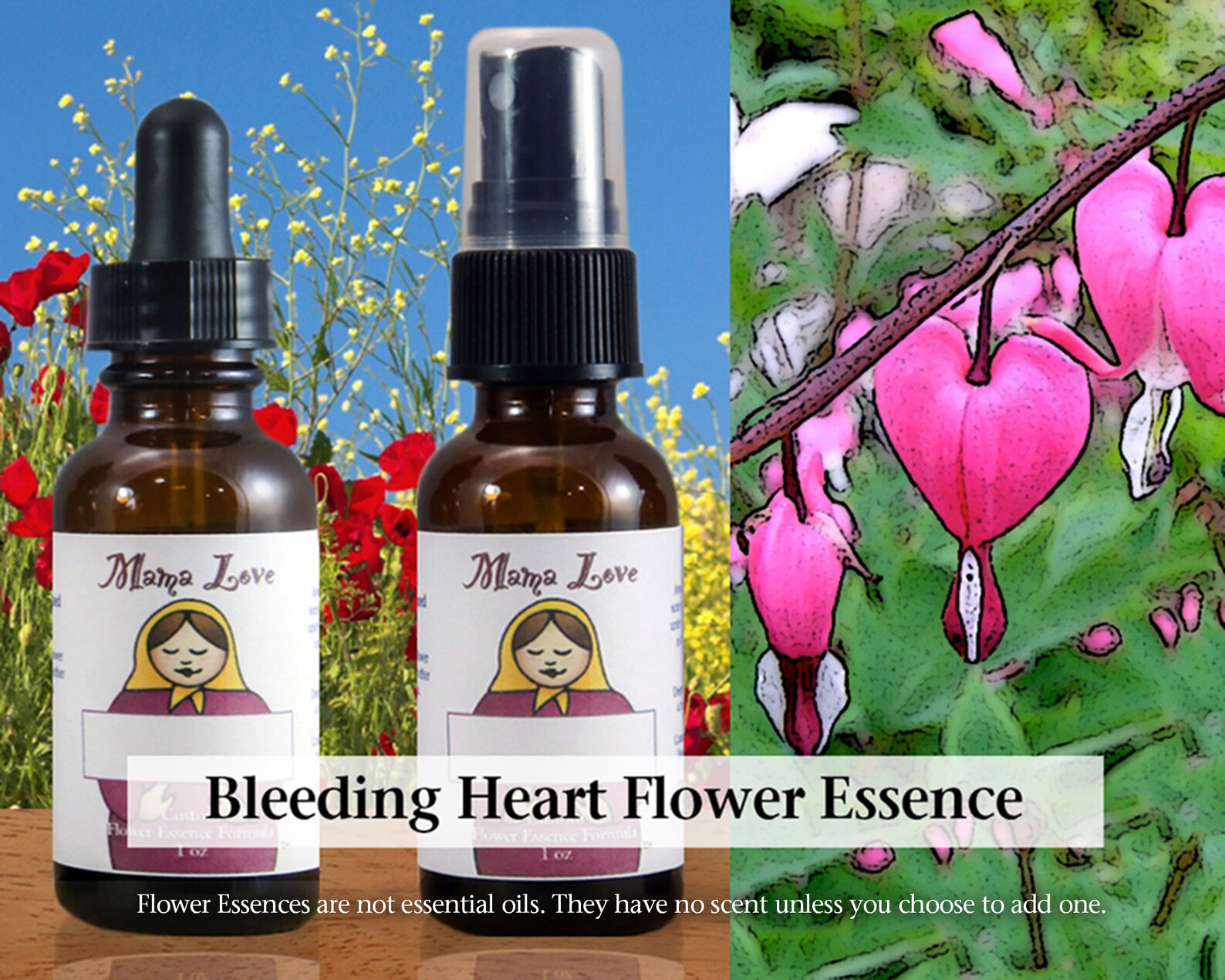 Bleeding Heart Flower Essence 1 or 2 Oz Dropper or Spray for Etsy