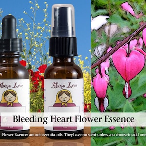 Bleeding Heart Flower Essence, 1 or 2 oz Dropper or Spray for Healing the Heart, Letting Go of Attachments, Grief and Loss Self-care