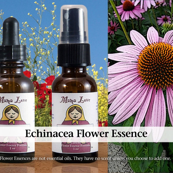 Organic Echinacea Flower Essence, Dropper or Spray for a Stronger Sense of Self in the Face of Illness or Stress