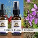 see more listings in the Single Flower Essences section