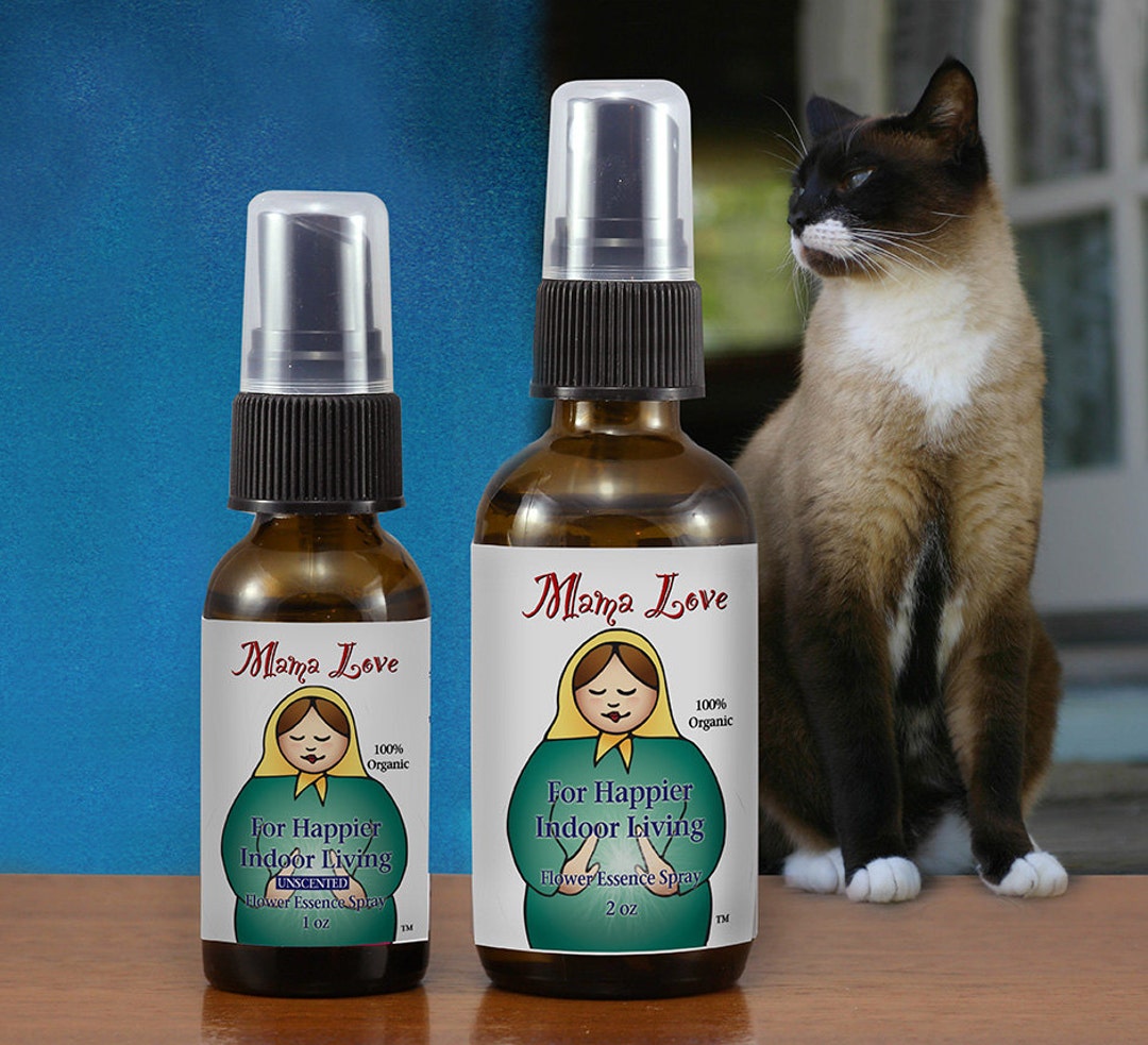 Happy Indoor Cats and Dogs Flower Essences for Pets and Pet Etsy