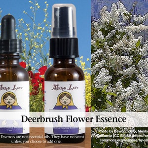 Deerbrush Flower Essence, Dropper or Unscented Spray for Knowing and Acting on Your Inner Truth, Emotional Honesty