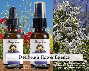 Organic Deerbrush Flower Essence, Dropper or Unscented Spray for Knowing and Acting on Your Inner Truth, Emotional Honesty
