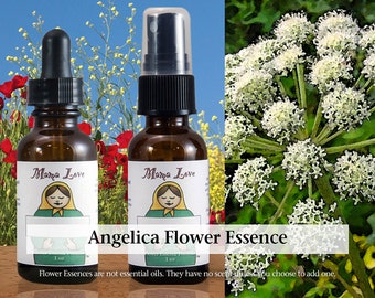 Organic Angelica Flower Essence, Dropper or Unscented Spray Aura Mist, for Feeling Protected and Guided Spiritually, Spiritual Connection