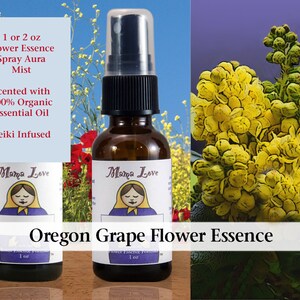 Oregon Grape Flower Essence, Scented Spray Aura Mist for Trusting Self and Others, Addressing "Paranoid" or Overly Self-Protective Feelings
