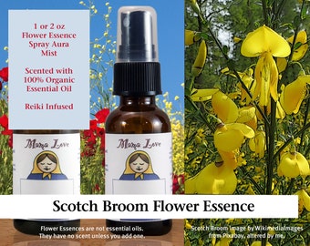 Scotch Broom Flower Essence, Scented Spray for Optimism and Clarity when Feeling Deeply Discouraged about the State of the World