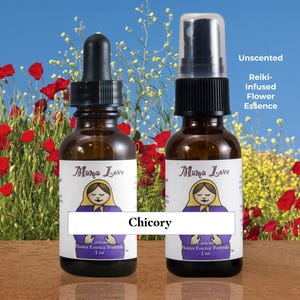 Chicory Flower Essence: Unconditional Love, Codependency Support (Dropper or Spray)