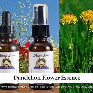 May include: Two brown glass bottles with droppers and spray tops. The bottles have labels with a cartoon woman and the text "Mama Love". The bottles are labeled "Dandelion Flower Essence". The text below the bottles reads "Flower Essences are not essential oils. They have no scent unless you choose to add one."
