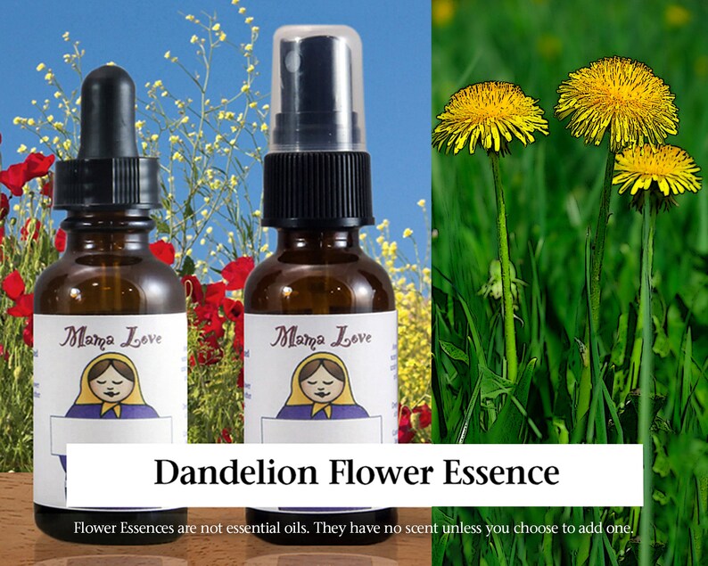 May include: Two brown glass bottles with droppers and spray tops. The bottles have labels with a cartoon woman and the text "Mama Love". The bottles are labeled "Dandelion Flower Essence". The text below the bottles reads "Flower Essences are not essential oils. They have no scent unless you choose to add one."