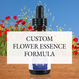 Trumpet Vine Flower Essence: Vibrant Self-Expression, Assertiveness, Clear Speech (Dropper or Spray) image 5