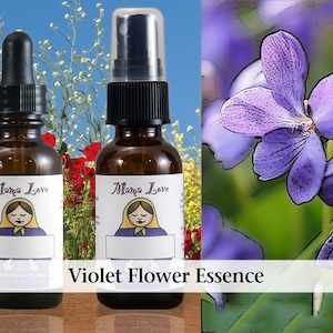 Violet Flower Essence, Dropper or Unscented Spray Self-care for Shy, Lonely, Introverted People Wanting More Connection, Social Ease