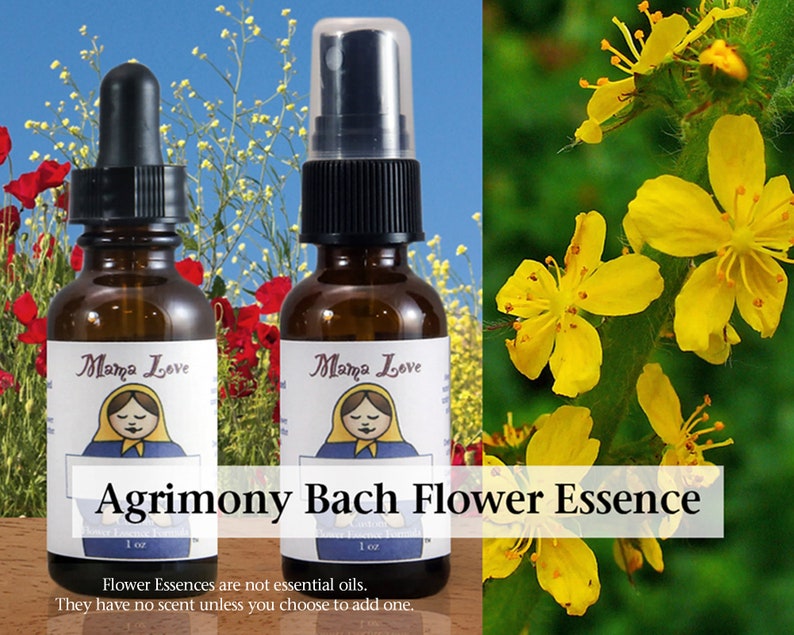 Organic Agrimony Bach Flower Essence, Dropper or Unscented Spray for Help Facing Challenging Emotions, Emotional Honesty image 1