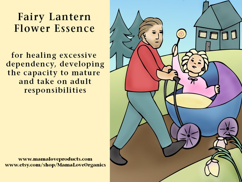 Fairy Lantern Flower Essence Dropper or Spray Selfcare for Etsy