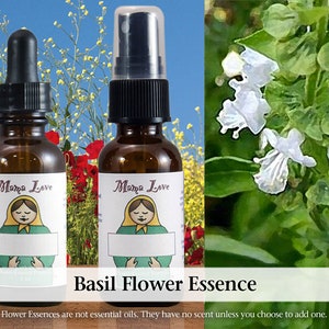 Organic Basil Flower Essence, Dropper or Spray for Integrating Sexuality with Spirituality, Healing Harmful Sexual Behavior and Addiction image 1