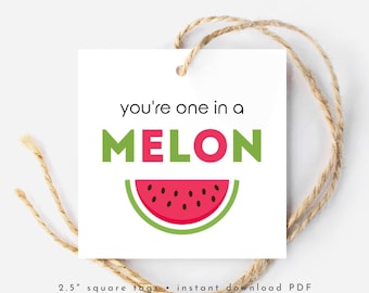One In a Melon Tag Printable, Watermelon Gift Tag for Appreciation, Teacher Thank You Tags Instant Download PDF