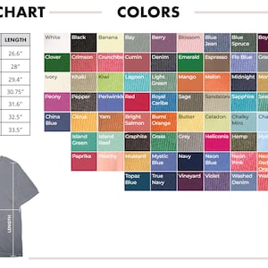 Comfort Colors Funny Gamer Cat Meme Shirt, CSGO Cat Shirt, Tactical Kitty Joke Tee, Gen Z Brainrot Gift, Cool Cat Gaming Top image 2