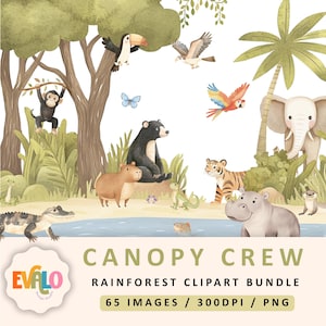 Schattige regenwouddieren clipart, aquarel jungle, safari clipart, wilde dieren, regenwouddieren, commerciële licentie inbegrepen, png