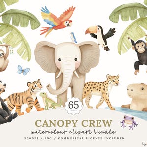 May include: A watercolour clipart bundle showcasing jungle animals such as an elephant, tiger, toucan, and monkey. The image includes the text "Canopy Crew" and "65 Images". The illustrations are in soft, natural colours, perfect for children's projects.