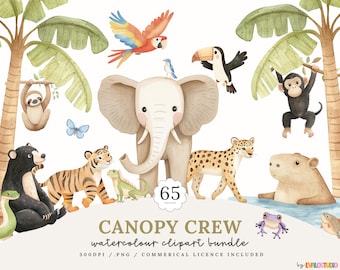 Watercolor Rainforest Animal Clipart: Jungle Safari PNG (Commercial License Included)