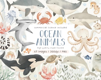 Op de afbeelding: Waterverfillustraties van verschillende zeedieren, waaronder haaien, walvissen en een octopus. De afbeelding bevat een krab, zeepaardje en andere zeedieren. Tekst luidt "OCEAN ANIMALS" en "High quality clipart bundle".