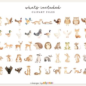 May include: Watercolor clipart set featuring various woodland animals and birds, including ducks, owls, foxes, deer, and rabbits. The phrase "whats included" and "clipart files" are written at the top of the image.