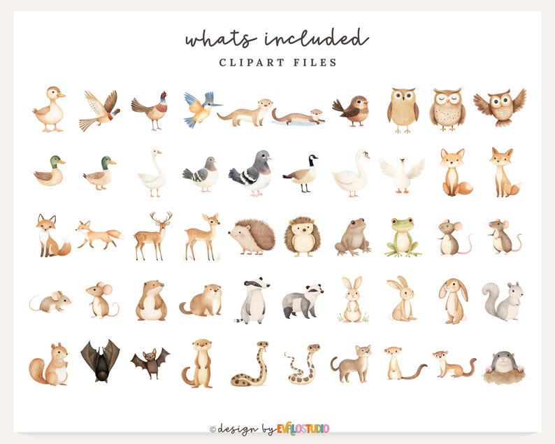 May include: Watercolor clipart set featuring various woodland animals and birds, including ducks, owls, foxes, deer, and rabbits. The phrase "whats included" and "clipart files" are written at the top of the image.