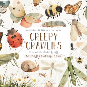 Conjunto de imágenes prediseñadas de insectos y bichos, paquete de imágenes prediseñadas, bichos de acuarela, uso comercial, imágenes prediseñadas, ilustraciones de insectos, PNG, paquete de ilustraciones de bichos