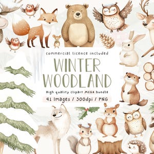 Clipart di simpatici animali del bosco invernale, Clipart acquerello, Clipart, Animali della foresta innevata, Clipart festivo, Licenza commerciale inclusa, PNG