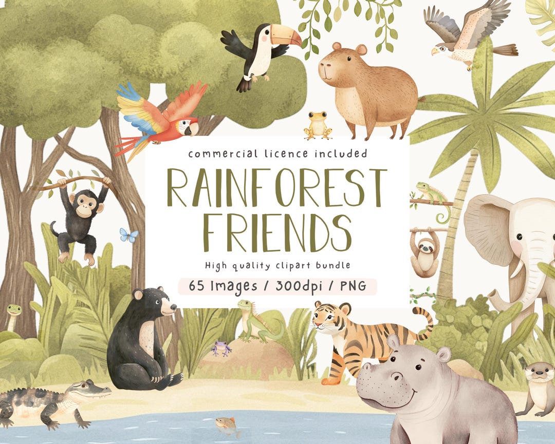 Cute Rainforest Animal Clipart, Watercolour Jungle, Safari Clipart ...