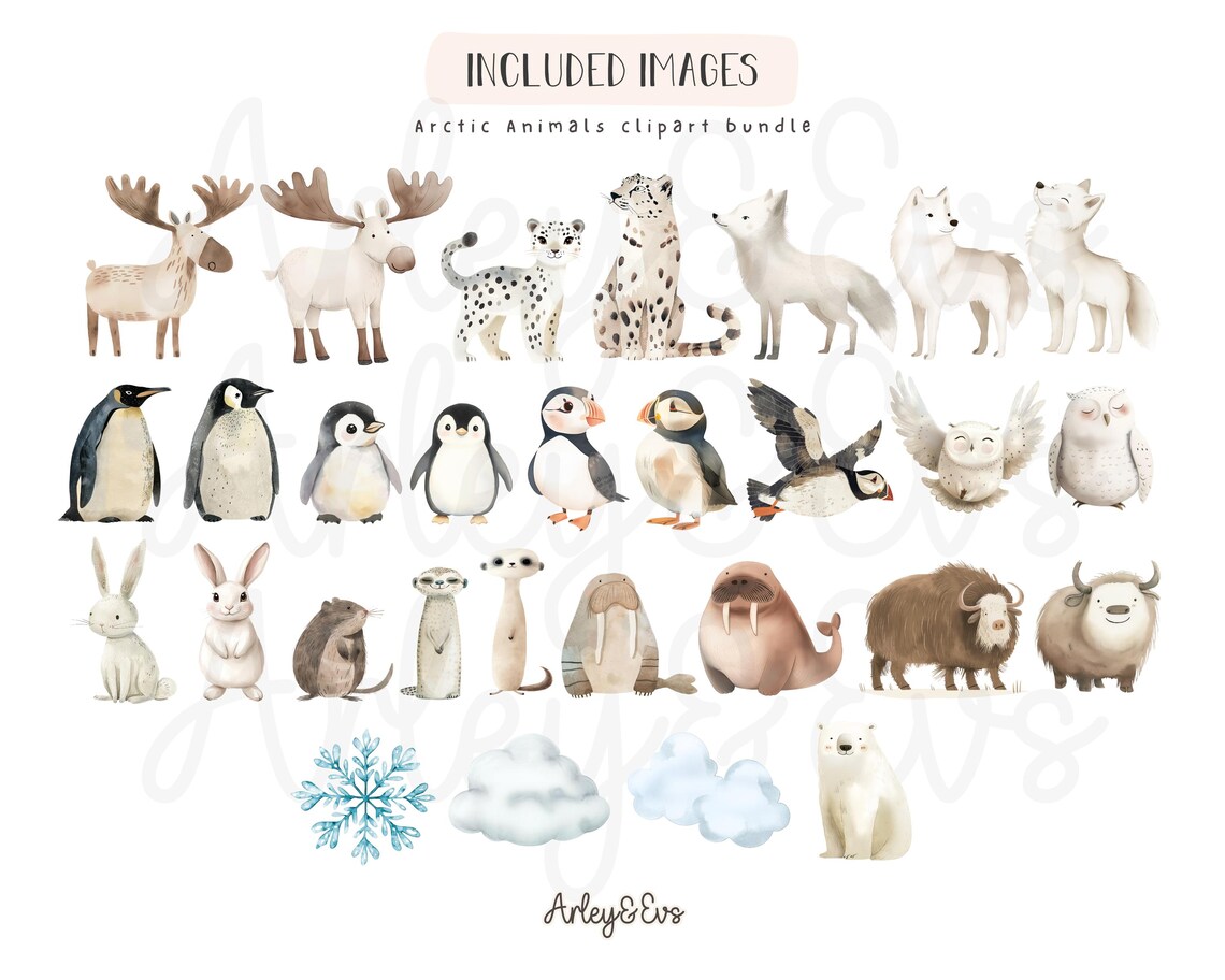 Watercolor Arctic Animals Clipart Bundle: Nursery Illustration (PNG) - Etsy