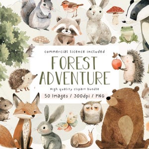 Pacchetto di clipart di animali del bosco, acquerello del bosco, uso commerciale, clipart, illustrazioni di animali della foresta, vivaio, PNG, clipart del bosco