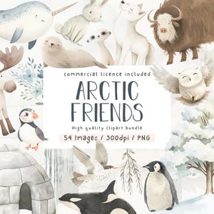 Animais do Ártico, Pacote de Cliparts, Animais do Ártico em Aquarela, Uso Comercial, Clipart, Clipart de Animais, Berçário, PNG, Clipart, Ilustração