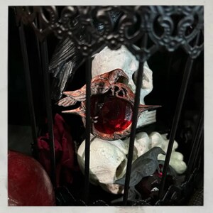 Puede incluir: Una jaula negra decorativa contiene una calavera blanca, una gema roja y un adorno con forma de p&aacute;jaro de color bronce. La gema es de color rojo intenso. La jaula tiene un dise&ntilde;o ornamentado.