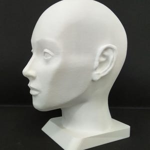 Può includere: Un busto bianco tridimensionale di una testa umana, scolpito in stile classico. La testa è liscia e priva di tratti, a parte la struttura facciale di base, compresi occhi, naso, bocca e orecchie. Il busto poggia su una base rettangolare.